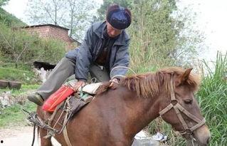 网红骑马爆料视频大全最新,揭秘马背上的精彩瞬间